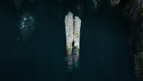 drone shot of old head of kinsale cliffs, county cork, ireland 10