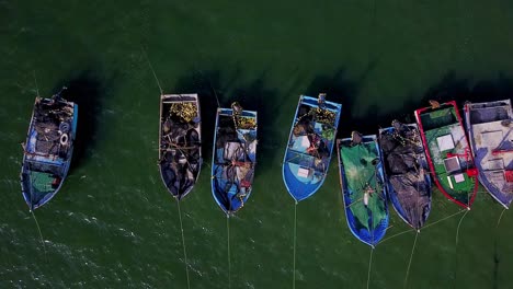 fishing boats with top down view from aerial drone at playa paracas, peru