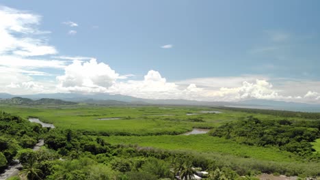 drone shot aerial view of a tropical rainforest