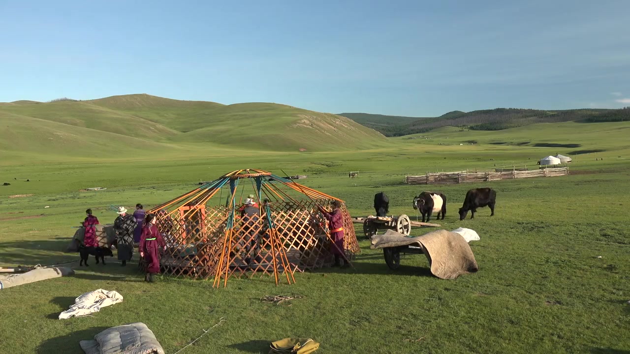 Mongolsk nomadefamilie demonterer traditionel jurte på græsland