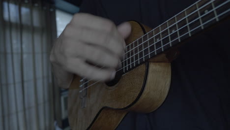 cerrar mano músico tocando el ukelele