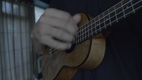 close up hand musician playing ukelele