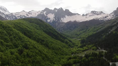 drone view in albania flying in the alps showing green forest on a valley surrounded by mountain with snowy peaks in valbon?