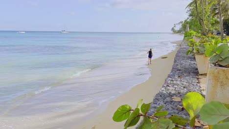 Static-of-person-jogging-along-sandy-beach-and-shore-of-Caribbean-Sea-during-summer-day