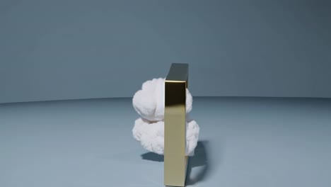 Elegant White Fluffy Object in Gold Frame