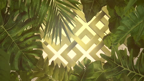 Closeup tropical flowers and leaf with summer background 6