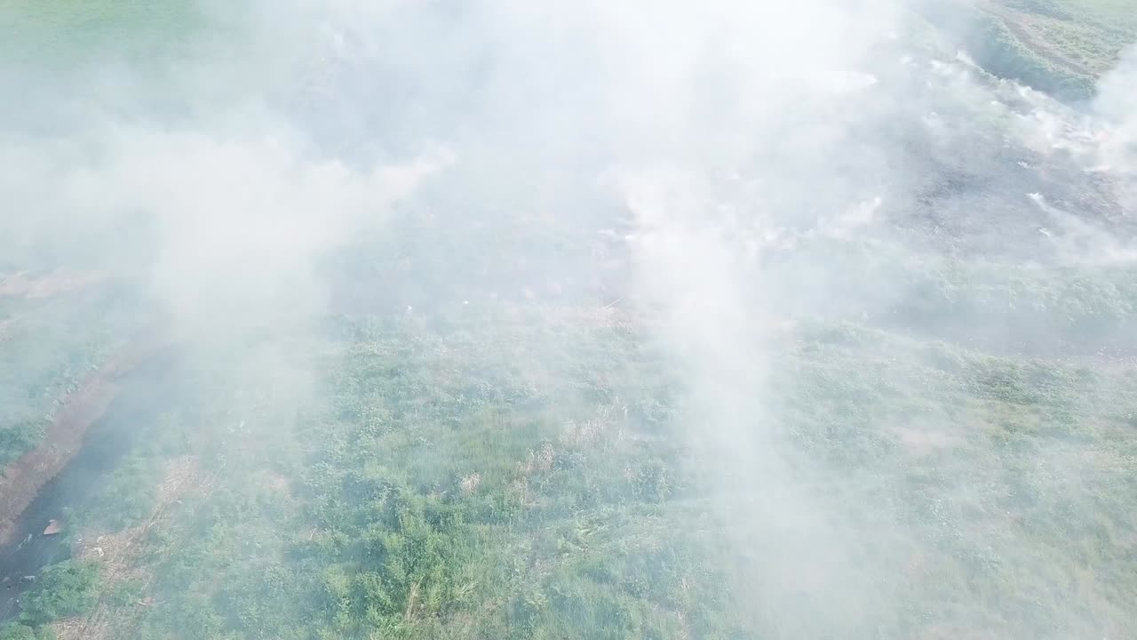 녹색 초원과 연기가 불타고, 자연 재해, 공중 총격