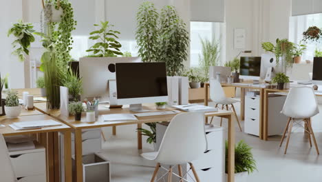 modern office space with green plants and desks
