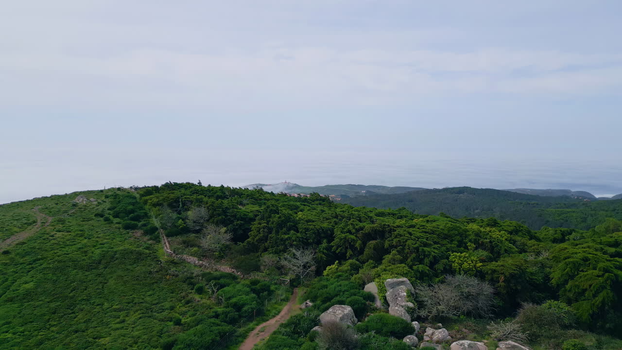 hermosas colinas verdes día nublado de verano. las laderas aéreas de las montañas cubiertas de vegetación