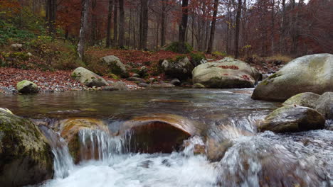 River-water-flow-in-mountain-forest-with-red-and-yellow-trees-autumn-foliage-aerial-view