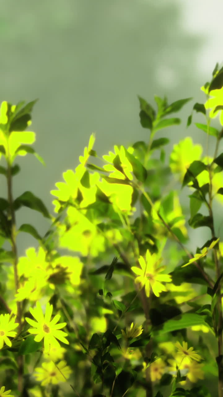 Fiori giallo vivo sbocciano in un ambiente verde vicino all'acqua.