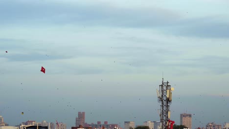 kites