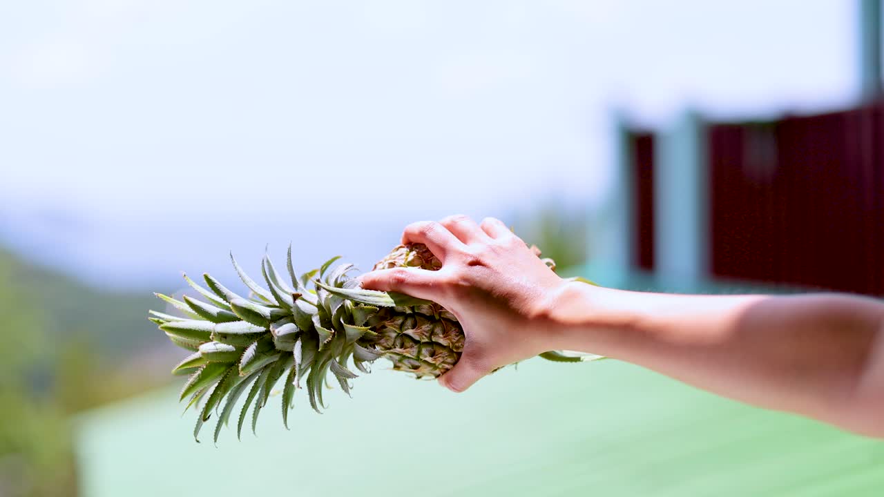 푸켓 에서 야외 에서 파인애플 을 교환 하는 손