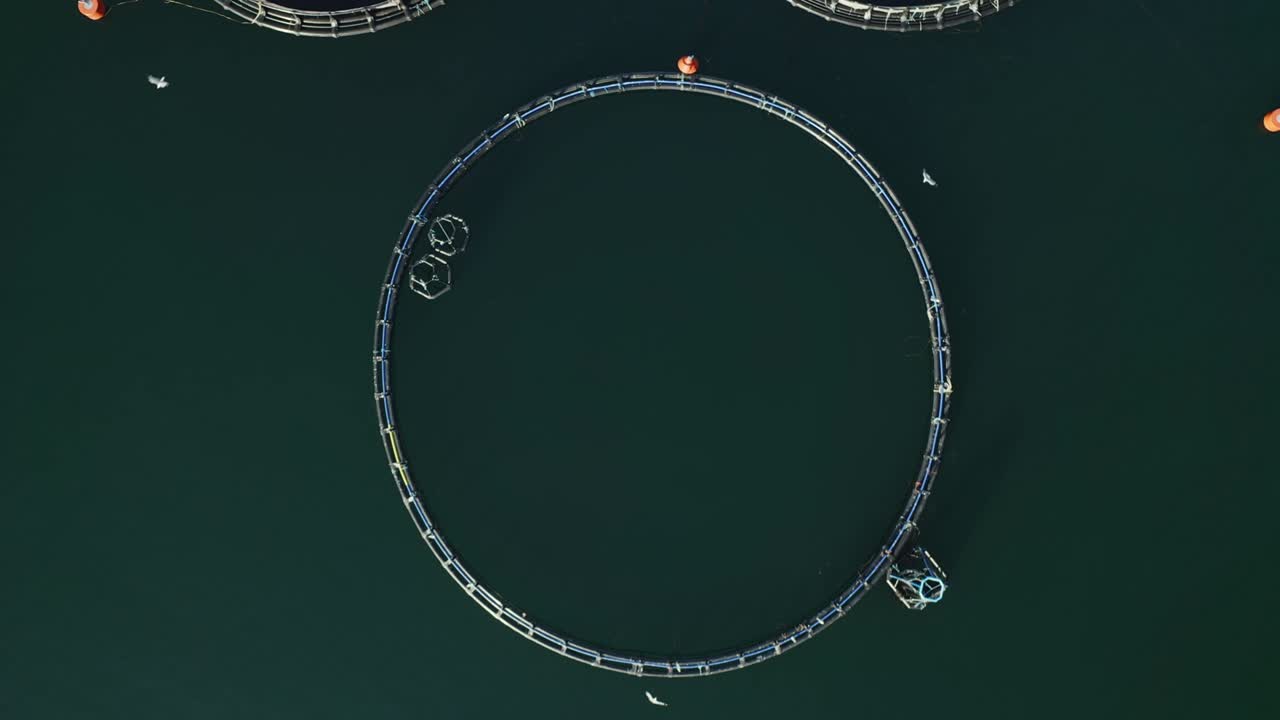드론으로 바다에서 생선 농장을 찍은 사진입니다.