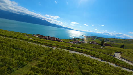 vast vineyards in lavaux in the charming village of epesses switzerland - aerial shot