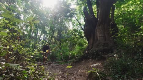 caminando por los senderos naturales del río riells en un día soleado.