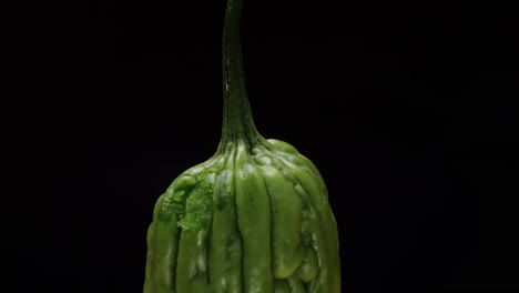 close-up of a bitter melon