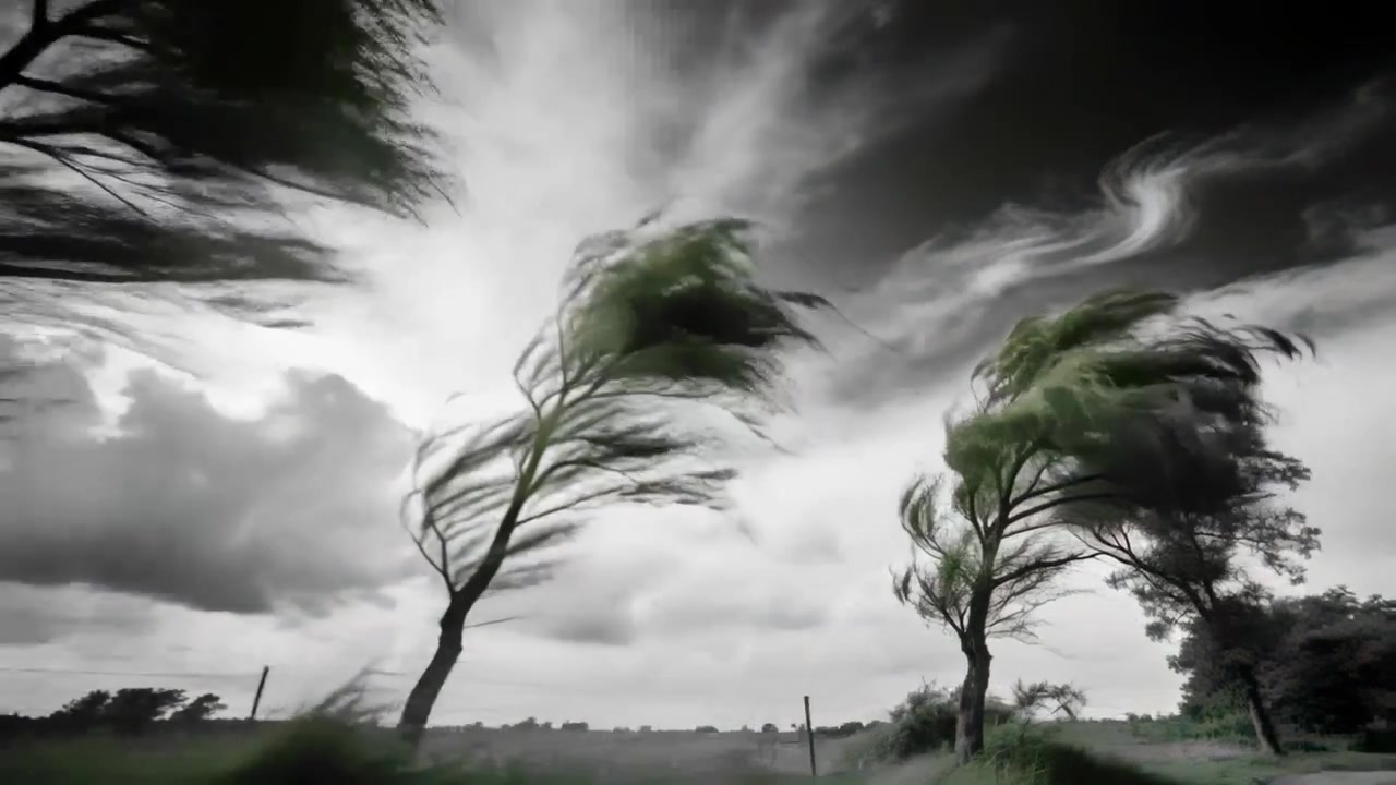 Tres árboles esbeltos doblándose e inclinándose a la derecha a través de un prado rural, el viento aumentando, los postes de la valla temblando.