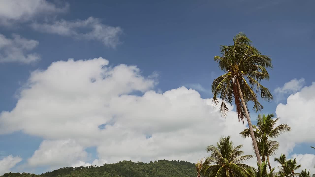 palmeras verdes con cielo azul claro en la playa de lamai en la isla de koh samui, una playa tropical en una isla tailandesa en el sur de tailandia, sudeste de asia