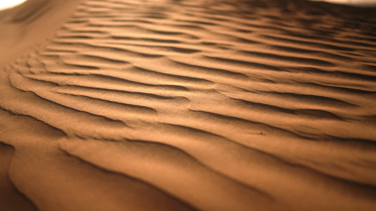 Close-up view of wind-patterned desert sand