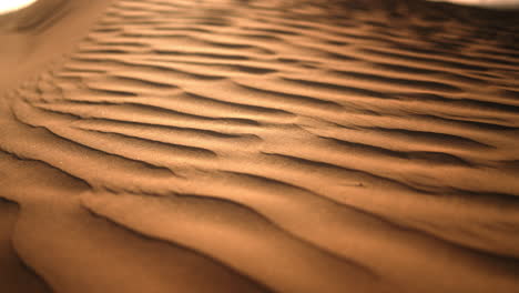 close-up view of wind-patterned desert sand