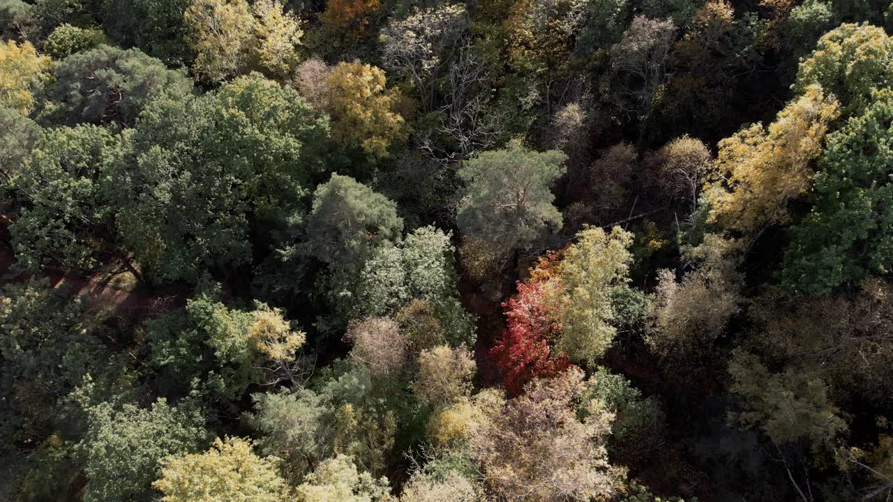 Aerial view of woodland in Partille, Sweden, wide shot directly above