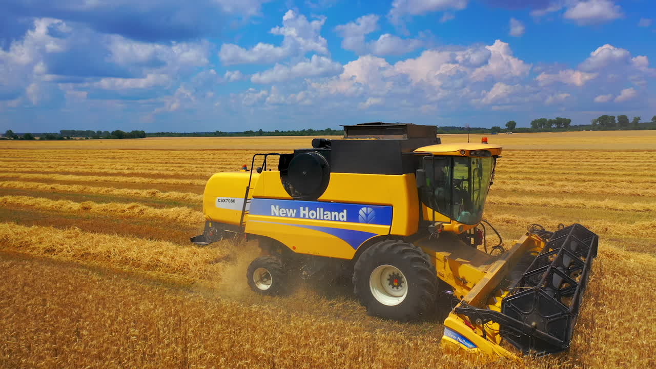 Harvester machine to harvest wheat field working. Combine harvester working on a wheat field.
