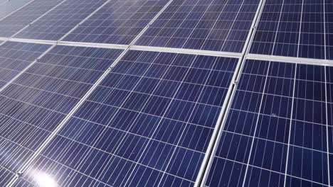solar panels farm solar cell with sunlight. close-up shot of silicon panels for alternative energy production