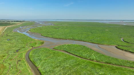 aerial shot of small rivers leading through bright green wetlands into the sea