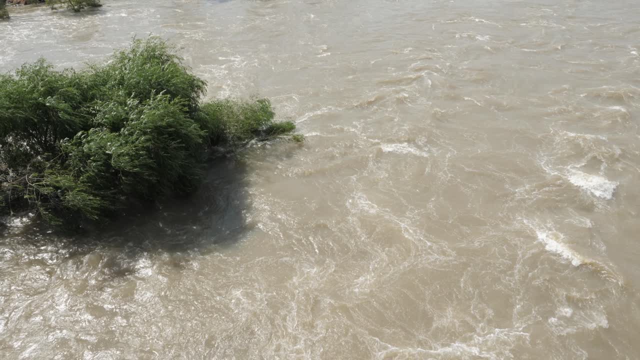 Fast moving spring river floods shoreline, submerging trees on banks
