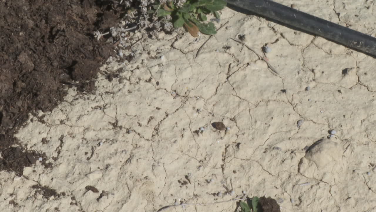 Dry and Cracked Soil