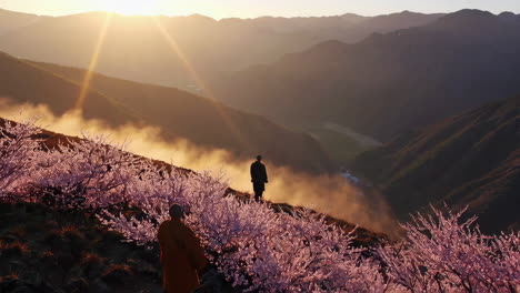 monk at sunrise in the mountains with cherry blossoms