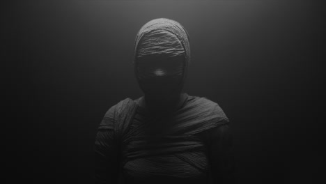 a mummy of a woman on a dark backdrop slowly rises her head