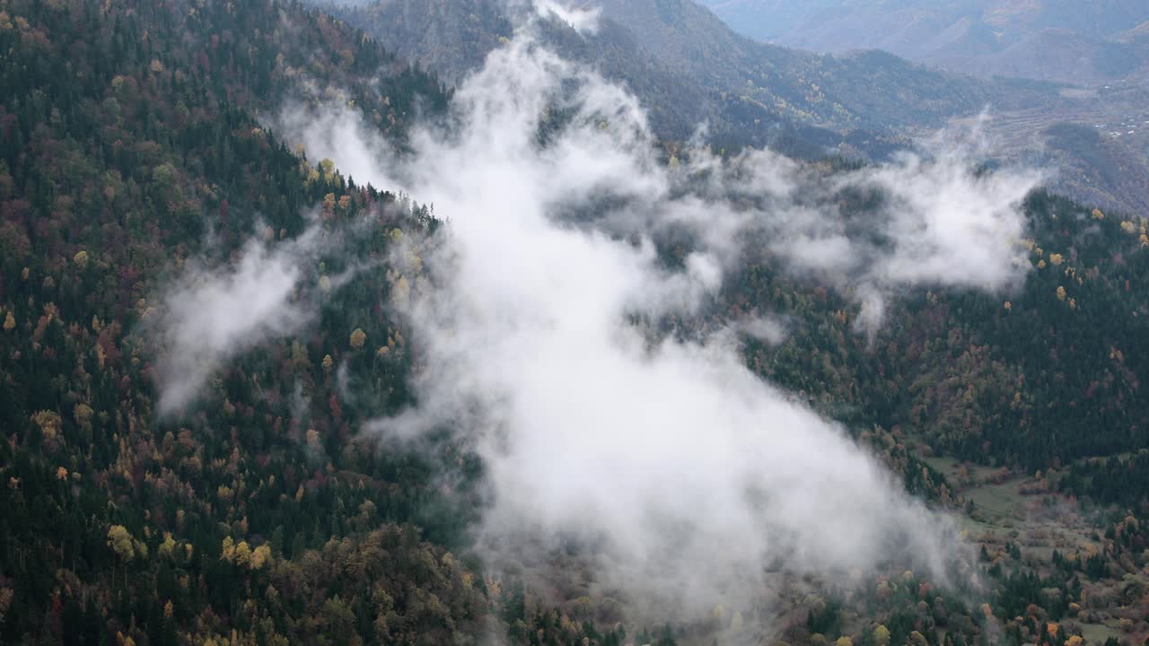 Mountainside with Fog and Forest