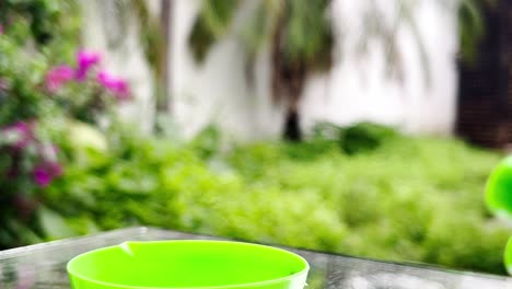 camera fixed on soap bubbles flying across a vibrant green background with soft sunlight.
