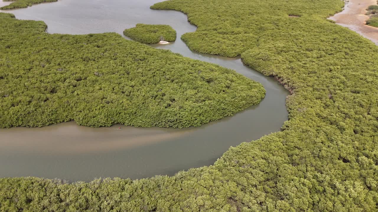 Aerial drone view of winding rivers crossing mangroves in Somone lagoon, Senegal, with vibrant green vegetation