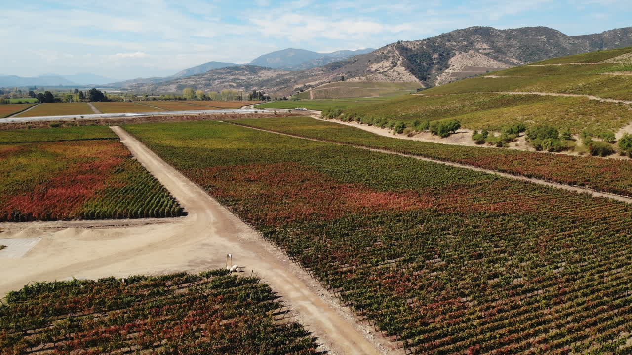 Short title describing the clip