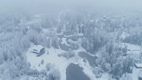 Drone-flying-backwards-revealing-frozen-snowy-alpine-forest-landscape