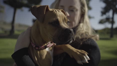 woman holding adorable boxer puppy in the park (cinematic)