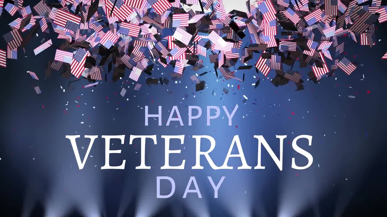 미국  ⁇ 발이 하늘에서 떨어지는 참전용사 날