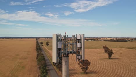 Circling-a-mobile-phone-tower-situated-in-the-middle-of-wheat-paddocks-in-Victoria,-Australia
