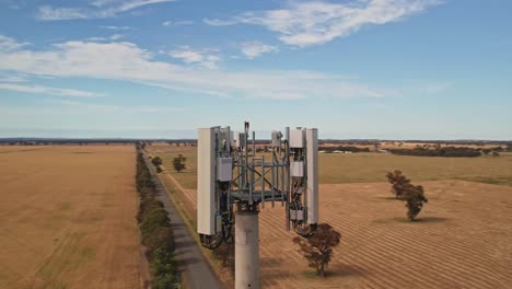dando vueltas alrededor de una torre de teléfono móvil situada en medio de campos de trigo en victoria, australia