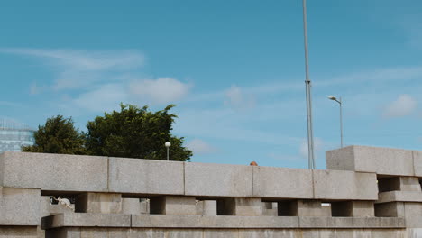 man doing parkour