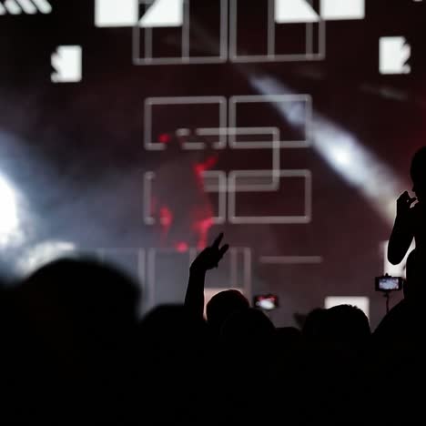 concert crowd silhouette