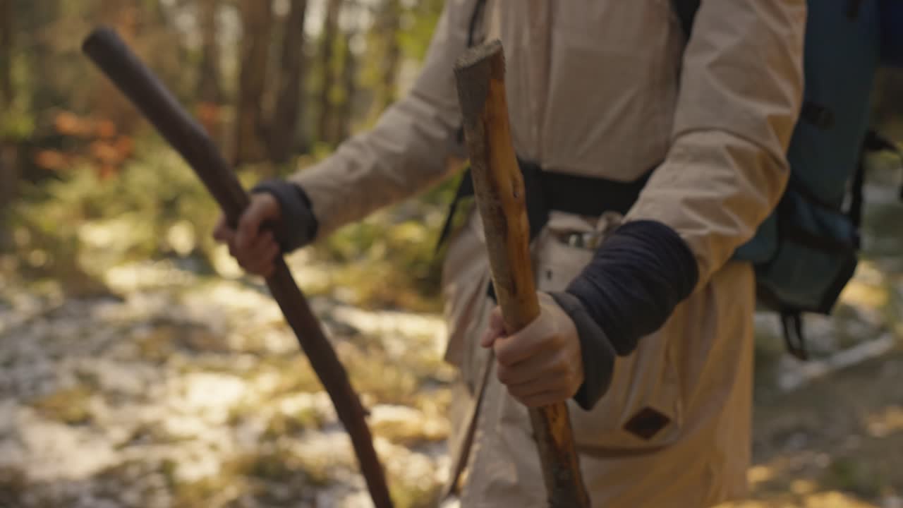 Hiker with sticks in the forest