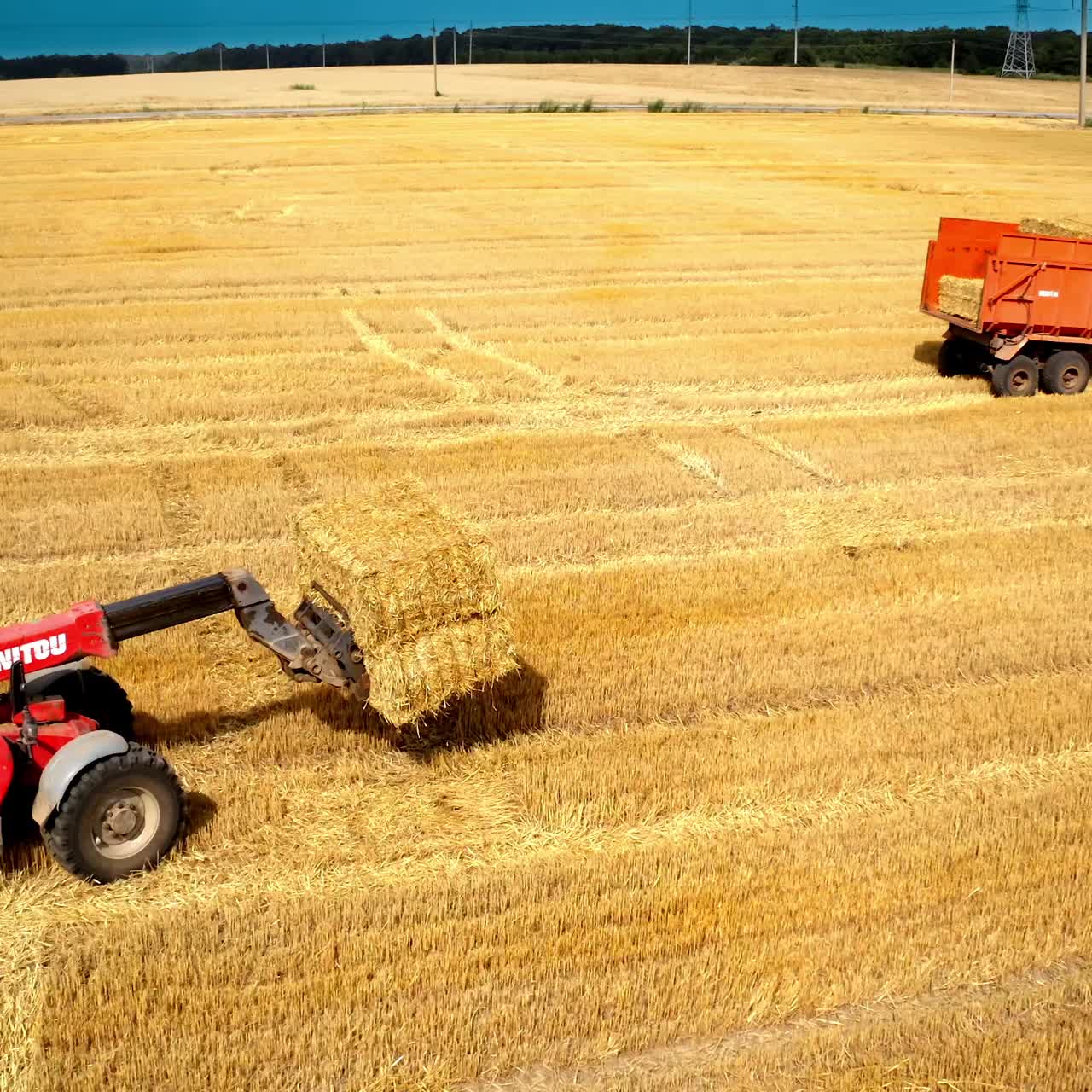 Tractor pulls the mown bales of hay. Piles of hay collected by agricultural machines in haystack