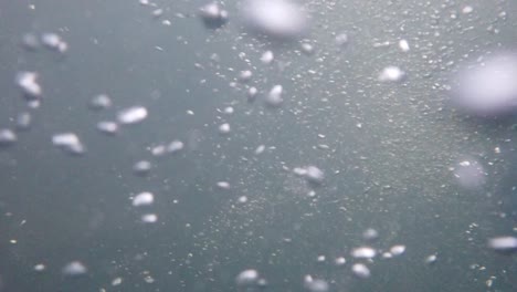 underwater recording at high resolution of the bubbles circulation