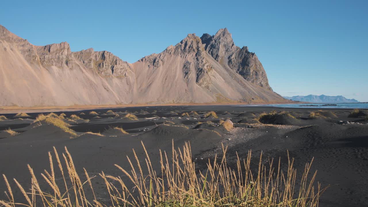 Grass stalks on black sand beach below jagged Vestrahorn mountain peak