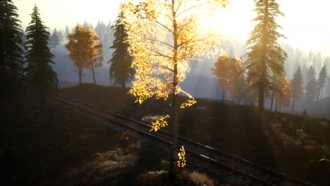 national forest recreation area and the fog with railway