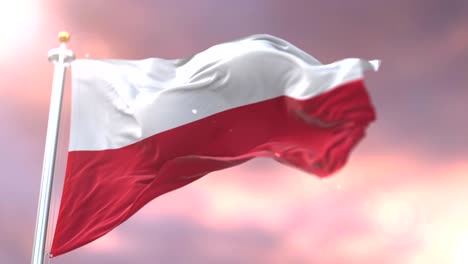 flag of poland waving at wind at sunset in slow, loop